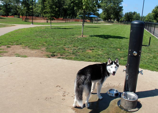 A dog takes a break by the water fountain at the Quincy Dog Park at 4260 144th Ave. in Holland Township Saturday, Aug. 15, 2015. Amy Biolchini/Sentinel Staff.
