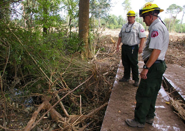 Brian Lovett, Greene County forest ranger with the N.C. Forest Service, and Coty Norton, assistant county forest ranger, inspect a blue line waterway for debris where workers are clearing land for property owner A.D. Warren in the Willow Green area Aug. 4. Systematic and periodic clearing helps remove trees before they age out and fall. Rangers make sure debris from the tree-cutting work is removed from waterways when the work is completed as part of forestry management.