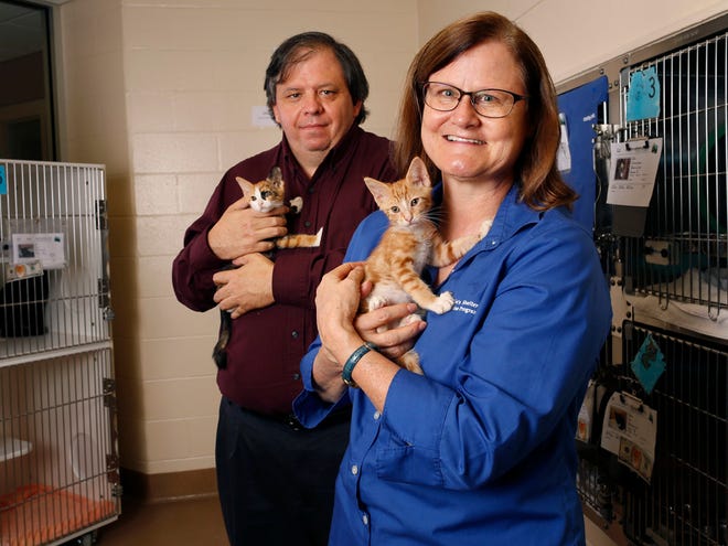 University of Florida veterinarian professor Dr. Julie Levy and Vern Sawyer, director of Alachua County Animal Services, are trying to eliminate the euthanasia of cats in the area as part of the nationwide Million Cat Challenge.
