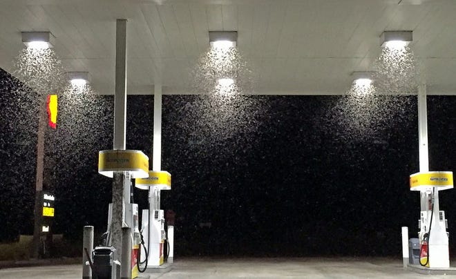 In this Aug. 14, 2015, photo provided by Matthew Hengst, bugs swarm at a service station in the eastern Sierra Nevada town of Lone Pine, Calif. Scientists are calling the unusual explosion of this Melacoryphus lateralis species of seed bug the first outbreak of its kind in California’s recent memory. (Matthew Hengst via AP)