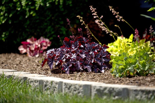 Look around your neighborhood or in magazines for landscaping ideas.