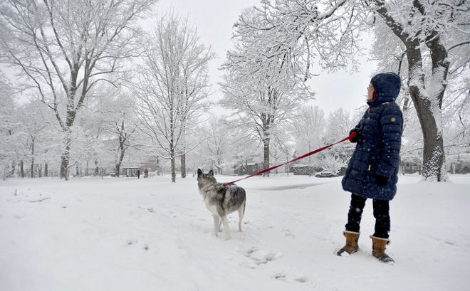 Un Yi, 54, of Erie, and her Siberian Husky, Coco, walk in the freshly fallen snow March 31, 2015 at Gridley Park in Erie. "This is beautiful, but hopefully spring comes quickly," said Yi. "I need to see flowers, but she's a cold weather dog. She loves it." SARAH CROSBY/