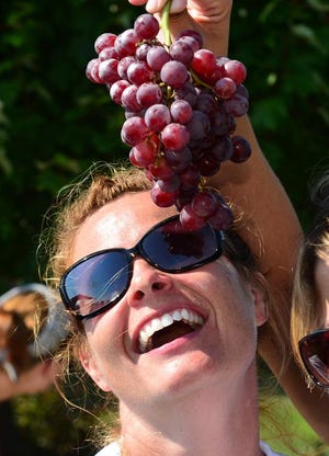 Connie Casey is tempted by grapes as stompers compete during the Kickapoo Creek Winery Grape Stomp event in 2013.