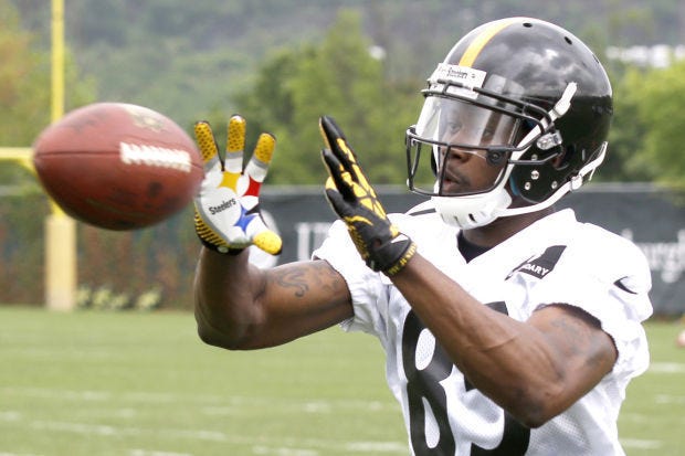 Pittsburgh Steelers wide receiver Darrius Heyward-Bey during an NFL football organized team activity on Wednesday, May 28, 2014 in Pittsburgh. (AP Photo/Keith Srakocic)
