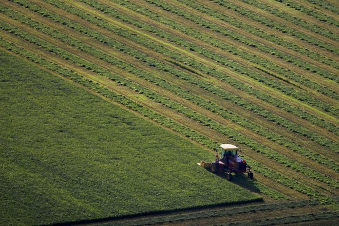 A farmer swaths alfalfa into windrows outside of Pleasantview on July 2, 2014.