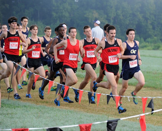 A photo from the Georgia Cross Country Invitational, held Sept. 6, 2014 in Bishop, Ga.
