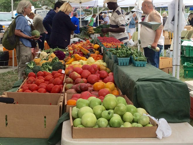 Visitors browse the fruit and vegetable tent of the Quincy Farmers Market on Friday, Sept. 4, 2015. The market opened for the first time at Pageant Field on Friday after over 33 years in the Hancock parking lot.