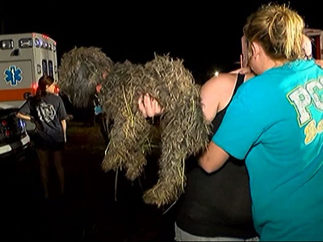 In this image taken from WLBT video, a dog is lifted shortly after being pulled up along with a boy by emergency workers from a well they were trapped, about 70 miles (113 kilometers) south of Jackson in Lincoln County, MS., Monday, Sept. 7, 2015. Clifford Galey, civil defense director for Lincoln County, told The Daily Leader newspaper that a 4-year-old boy and his dog had been trapped in a well nearly 25 feet (7.6 meters) deep. They were rescued a few hours later to the cheers of emergency workers. The hole was only about a foot and a half wide. (WLVT via AP) JACKSON, MISSISSIPPI OUT, MANDATORY CREDIT