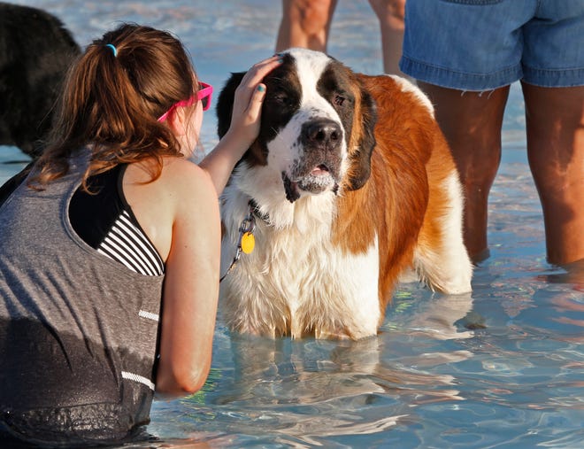 Sadie Johnston and her Saint Bernard, Dottie, take a break from the heat at the Midwest City Parks and Recreation Department's annual Doggy Paddle. [Photo by Steve Sisney, The Oklahoman]