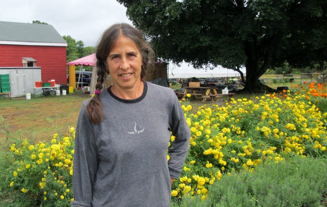 Judy Lieberman of Milton, co-founder of Brookwood Community Farm in Canton, is stepping down from her management role as the farm marks its 10th anniversary.