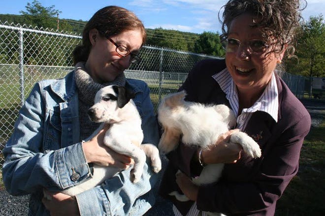 Michelle Wagner, left, Middle Smithfield Township's Parks and Recreation leader for the Community Garden, and township Supervisor Annette Atkinson cuddle two puppies from Camp Papillon during the official opening of the municipal dog park on Sept. 14. (Melanie Vanderveer/For Pocono Record)