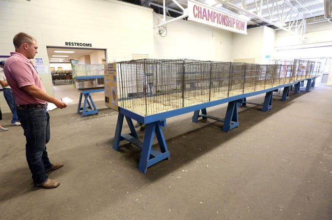 Instead of judging live birds, Ryan Flaming judges posters attached to the empty cages during the poultry competition at the Reno County 4-H Fair Thursday morning, July 23, 2015, at the Kansas State Fairgrounds.