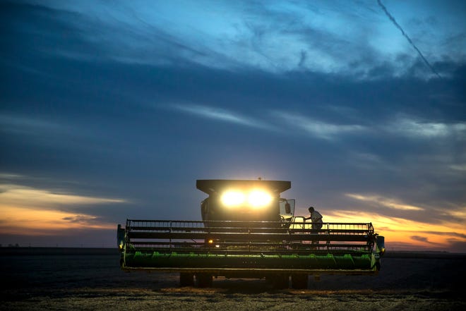 Wayne Cross climbs out of his combine to take a break from harvesting soybeans as the sun sets on his farm, Wednesday, Sept. 23, 2015, near Buffalo, Ill. Cross is optimistic that his soybean crop is in better shape than expected after the federal government declared most of the state a disaster area following spring and summer flooding. Justin L. Fowler/The State Journal-Register