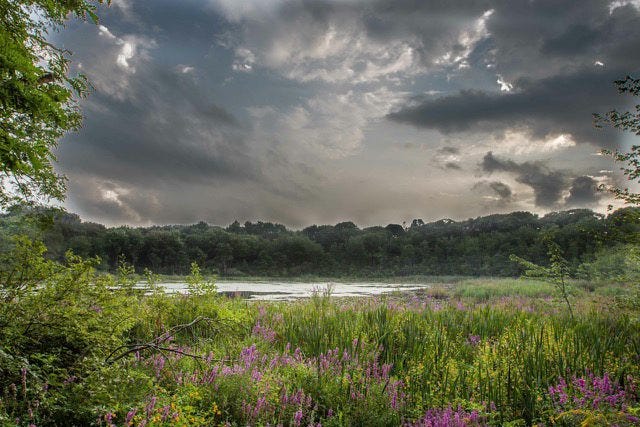 Ware Pond shows its colors under a threatening summer sky. Bill Sloan / Courtesy Photo