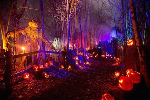 Top 15 Haunted Attractions of 2015