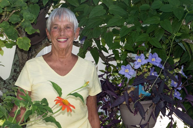 Carol Gilchrist stands nestled in an orange tree that now serves a trellis for thunbergia, aka blue sky vine, right. The flower in the foreground is tithonia, or a Mexican sunflower.
