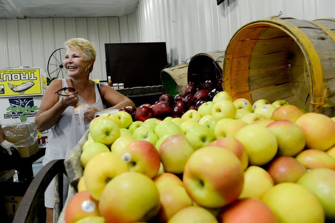 Sharon Hilders shops for apples at Sunfresh Produce in Englewood. Sunfresh, formerly Sheckler produce, is the largest independent produce distributor on the Gulf coast of Florida.