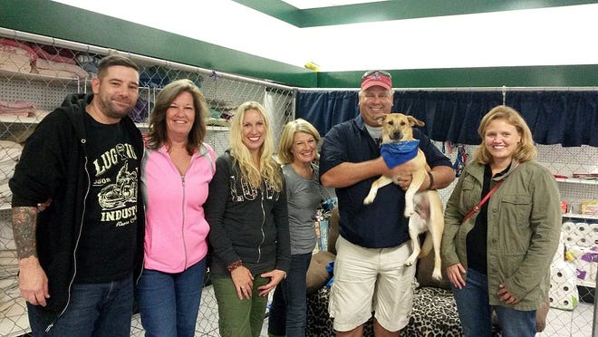 Jason DeMaura, of Middleborough, Gail Fallon, of Halifax, Stacey Kaloshis, of Plymouth, Joan Sem, of Pembroke, Mark Kaloshis, of Plymouth, and Maura Dean, of Dennis, are some of the Friends of the Plymouth Pound's dog foster volunteers. Courtesy photo