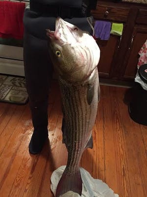 Chung Nguyen of Providence caught a 35-iinch striped bass off the Charleston Breachway Saturday.