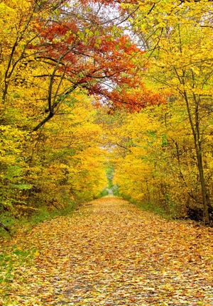 The Sippo Valley Trail on the west side of Massillon is one of the prime spots to enjoy the beauty of autumn. Leaves are expected to showcase vivid colors into mid- and possibly late October in Stark County. Weather conditions influence the degree of color.