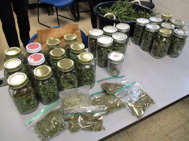 The police who searched the home at 12 Crystal Lake Drive in Carver on Wednesday, Oct. 14, 2015, reported finding about about two pounds of marijuana.