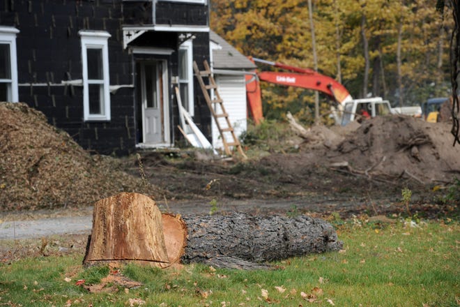 The stump and trunk of a tree cut lay along Route 611 in Tannersville on Thursday, October 22, 2015. The tree was cut near the future location of a Wendy's. (Keith R. Stevenson/Pocono Record)