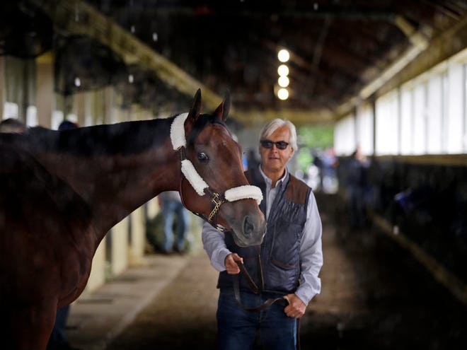 In this June 2, 2015, file photo, Kentucky Derby and Preakness Stakes winner American Pharoah pauses as he is led around the barn by trainer Bob Baffert after arriving at Belmont Park in Elmont, N.Y. In a few days, there will be an empty stall in Bob Baffert's barn and an empty space in the hearts of the trainer and owner of American Pharoah. The 3-year-old colt bids farewell to racing in the Breeders' Cup Classic, ending a memorable journey that included winning the sport's first Triple Crown in 37 years.