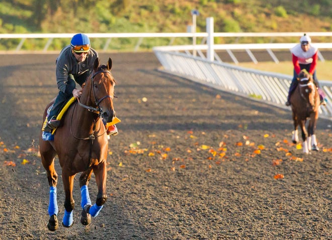 Exercise rider Jorge Alvarez gallops Triple Crown winner American Pharoah around the training track for the first time since arriving at Keeneland Race Track in Lexington, KY.
