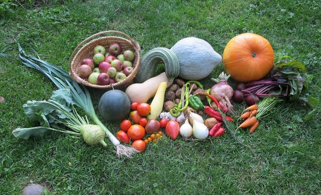 This year's harvest in Henry Homeyer's gardens, including watermelon. 

Courtesy of Henry Homeyer