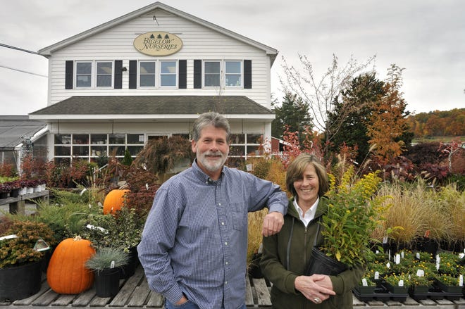 Bigelow Nurseries sibling co-owners Bradford Bigelow and Patricia Bigelow, photographed at the company's Northboro facility Oct. 28. T&G Staff/Paul Kapteyn