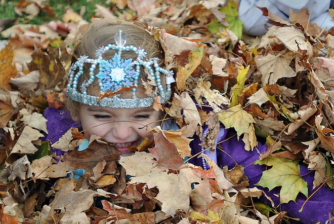 Caitlyn Persofsky, of Churchville, finds leaves to play in Saturday, Oct. 31, 2015, during Harvest Day in Langhorne. The event featured vendors, a Halloween parade and firefighting demonstrations. It was sponsored by the Langhorne Borough Business Association and the Langhorne-Middletown Fire Co.