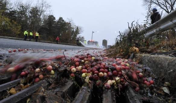 Cranberries wash away as crews work on cleaning up the Sagamore Bridge after an accident Friday morning.