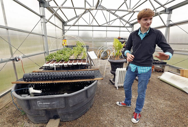 Granville High School senior Chris Carlson is spearheading a project to raise tilapia in an aqua farm inside a school greenhouse.