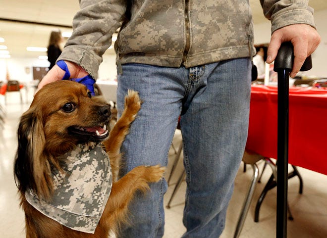 Wounded Iraqi war veteran Michael Mastriana gets some level of relief from his post-traumatic stress disorder from his dog Phoenix. The two were attending a Veterans Day event Wednesday at VFW Post 9857 where the Central Ohio Workforce Investment Corporation was giving almost $20,00 to the organization Pets for Vets.