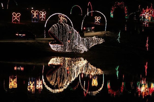 Volunteers have been working around the clock to prepare for this weekend's opening of the 25th annual Holiday Lights Safari Benefit, an annual event to benefit Hollywild Animal Park. PROVIDED