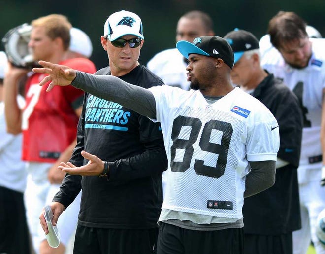 Carolina Panthers offensive coordinator Mike Shula and wide receiver Steve Smith (89) talk following a play during practice, Tuesday, July 30, 2013, in Spartanburg, South Carolina. (Jeff Siner/Charlotte Observer/MCT)