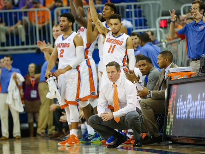 Florida coach Mike White watches the action during the first half of the Gators' home opener against North Carolina A&T. Florida beat the Aggies 104-54.
