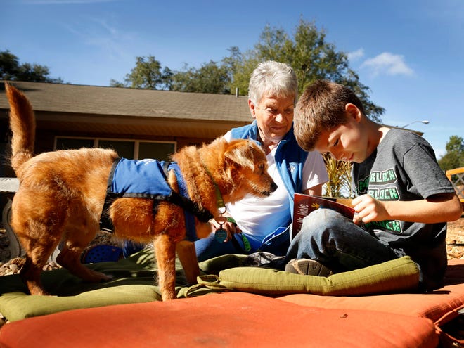 Healthy Learning Academy Charter School first grader Ryan Dubois reads to Barney and his handler Joanne Alam with Love on a Leash Tuesday, November 17, 2015.