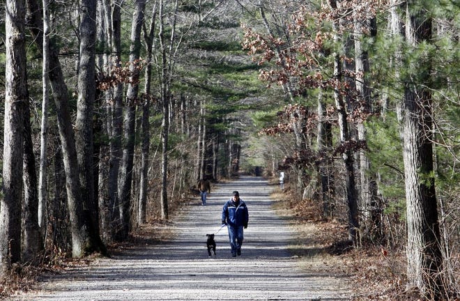 A hiking trail at Borderland State Park in Easton, one of the state properties that will be open free from Thursday through Sunday, Nov. 26-29.