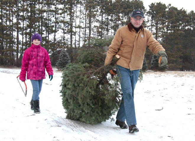 Shelby Martin (left) and her father, Rob, walk down a path at Williams Tree Farm in Rockton after cutting down their Christmas tree. RRSTAR.COM FILE PHOTO