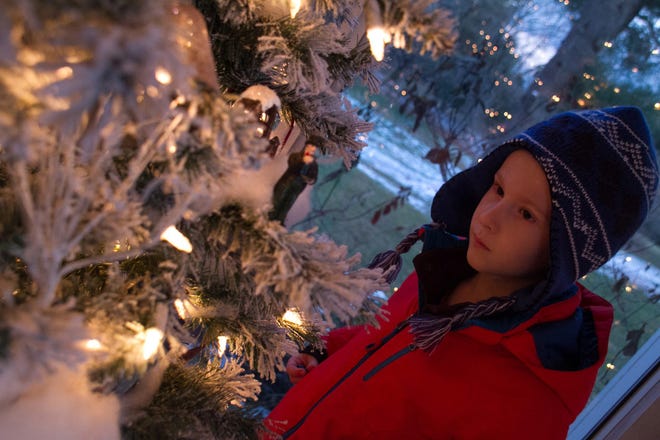 Dan Korsunsky's, 7, favorite tree at last year's festival was Miniature Christmas Wonderland designed by Debby Johnson, donated by the Morse Insurance Agency. Wicked Local Photo/Charlene A. McNeil