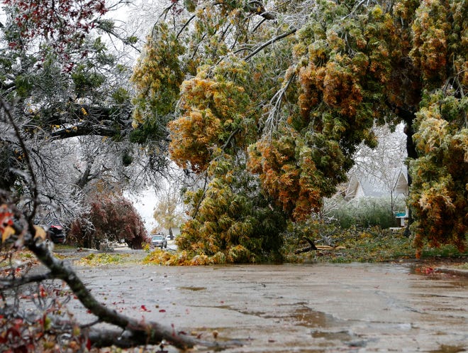 Trees create an obstacle course on Nov. 28 due to the weight of accumulated ice on E Fifth Street in Edmond. [Photo by Paul Hellstern, The Oklahoman Archives]