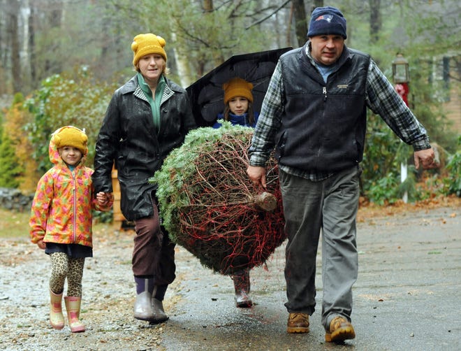 Dan and Christine Rainville with their daugthers, Renee, 10, and Lindsey, 6, of Princeton, carry their freshly cut tree Saturday from Evergreen Farm in Sterling.  T&G Staff/Christine Hochkeppel