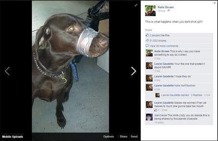 The Facebook post showing a dog with its mouth taped.
