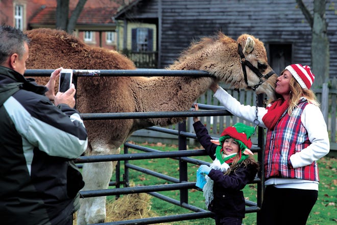 Jim Fragasse takes a photograph of 5-year-old Camrynn and Laurie with a camel at the Christmas in Zoar even on Saturday.
