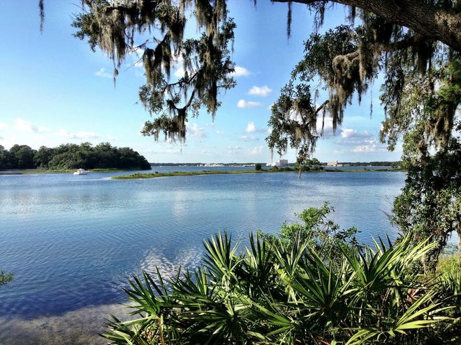 A look back toward downtown Panama City from Smack Bayou at Redfish Point, a well-preserved area with oaks, wildlife and even a sunken sailboat that has become home to an osprey nest.