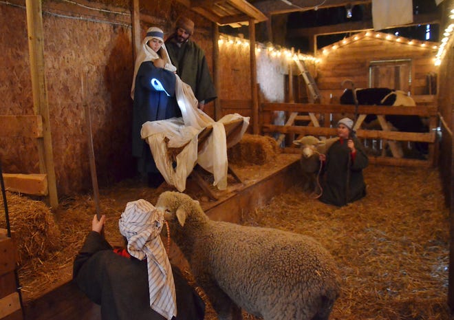 The Critter Barn in Zeeland Township performs a live nativity scene during the month of December inside their animal barn. Sentinel file photo