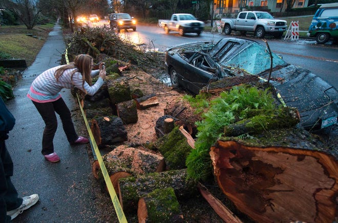 Natasha Jackson snaps a photo of the remains of a vehicle crushed by a bigleaf maple tree along W. 11th Ave. in Eugene, Ore. Thursday, December 10, 2015. An overnight storm brought rain and strong winds to the southern Willamette Valley. (Brian Davies/The Register-Guard)