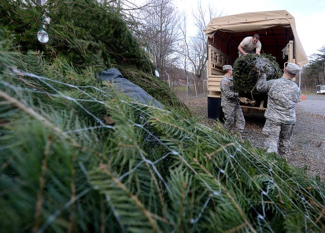 Members of the New Jersey Army National Guard load a truck with Christmas trees Monday, Dec. 14, 2015, at the National Guard Armory in Bordentown Township. The trees will be taken to other armories in Cape May and Vineland.