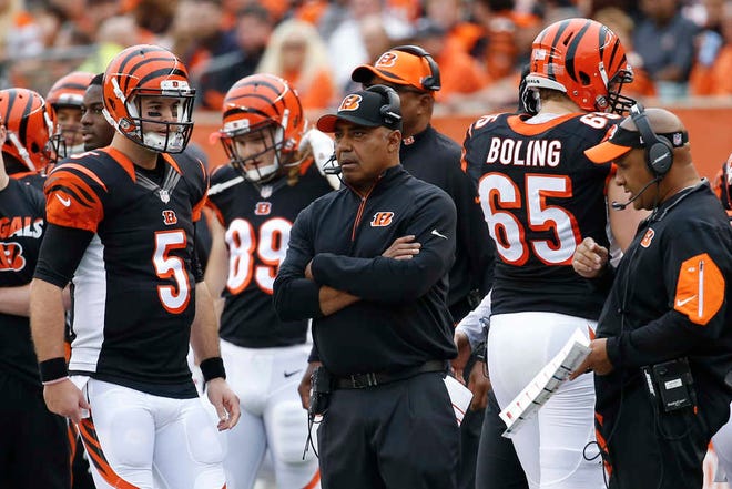 Cincinnati Bengals head coach Marvin Lewis, center, stands on the sideline along quarterback AJ McCarron (5) and offensive coordinator Hue Jackson, right, in the first half of an NFL football game against the Pittsburgh Steelers, Sunday, Dec. 13, 2015, in Cincinnati. (AP Photo/Frank Victores)